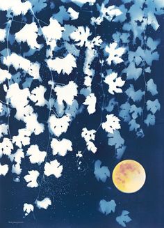 cyanotype botanical artwork blue and white leaves golden moon Flowers To Print, Castle In The Air, World Landscape, Printmaking Art, The Natural World, Gorgeous Art, Mixed Media Artists, Botanical Flowers