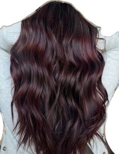 Raspberry Brunette Hair, Dark Hair Color Ideas Red Tint, Cola Red Hair Highlights, Dark Hair Color Ideas With Red, Dark Brown With Hint Of Red, Hair Colour Red Brown, Chocolate Cola Hair, Dark Brown Maroon Hair, Dark Red Chocolate Hair