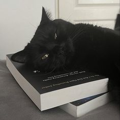 a black cat laying on top of a book