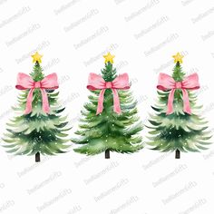 three watercolor christmas trees with pink bows