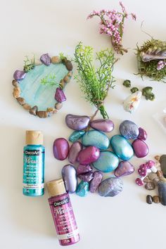 some rocks and plants are sitting on the table next to an empty spray bottle, which is also used as a decoration