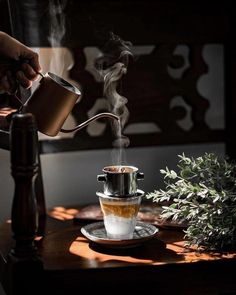 a person pouring coffee into a cup on top of a wooden table next to a plant