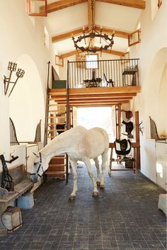 a white horse standing inside of a building