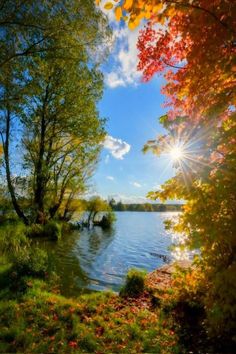 the sun shines brightly over a lake surrounded by green grass and autumn trees with red leaves