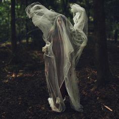 a ghostly woman in the woods with her veil draped over her head and hands behind her back