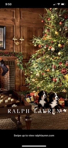 a christmas tree with two dogs in front of it