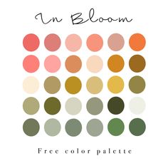 the color palette for un bloom