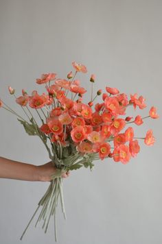 a person holding a bunch of flowers in their hand with the stems still attached to it