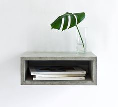 a concrete shelf with a plant in it