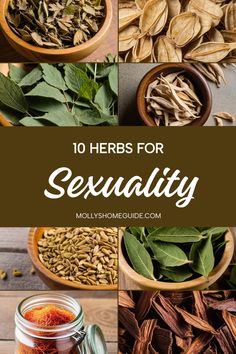 the top ten herbs for sexuality and how to use them in your home or office