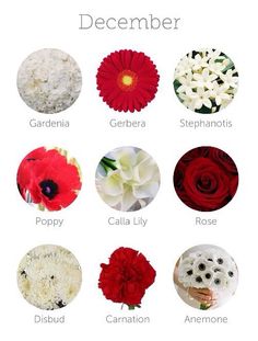 an iphone screen showing different flowers and the names of each flower, which appear to be in