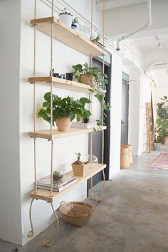 some shelves with plants and books on them in a room next to a wall hanging from the ceiling