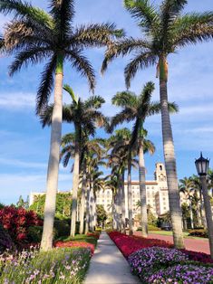 palm trees and flowers line the walkway in front of a building