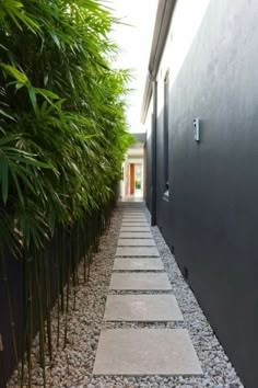 a long narrow walkway between two buildings with bamboo trees lining the sides and one building on the other side