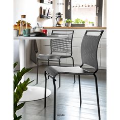 two chairs sitting next to each other near a table and potted plant in a kitchen