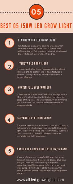 an info sheet describing the different types of lights