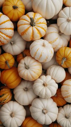 many white and orange pumpkins piled on top of each other