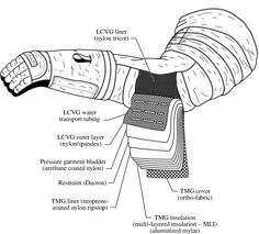 an illustration showing the inner and outer layers of a glove