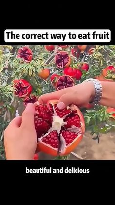 two people picking fruit from a tree with the caption, the correct way to eat fruit is beautiful and delicious