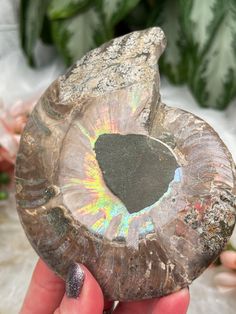 a person holding a piece of rock with a heart shaped hole in it's center