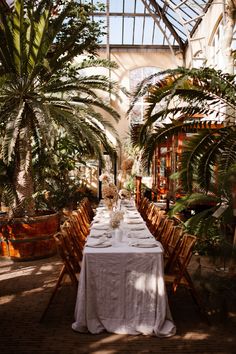 a long table is set up in the middle of a greenhouse