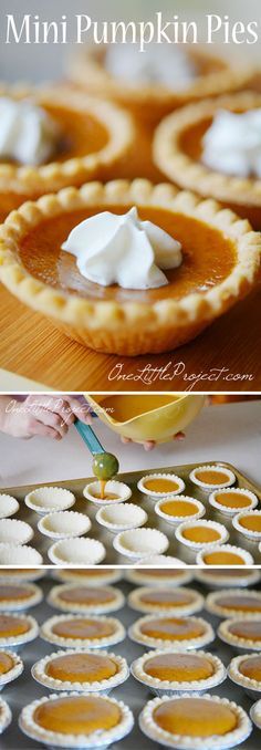 These mini pumpkin pies are so EASY and they taste amazing!! So awesome for when you've eaten a huge dinner and can't eat a full plate of dessert! Mini Pumpkin Pies Recipe, Dessert Oreo, Mini Pie, Mini Pumpkin Pies, Thanksgiving Cakes, Traditional Thanksgiving, Pumpkin Recipe, Full Recipes