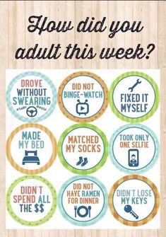 some stickers that say how did you adult this week?