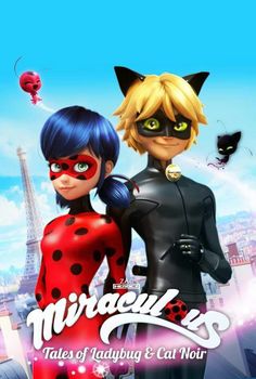 an animated movie poster with two people dressed as ladybug and cat noir