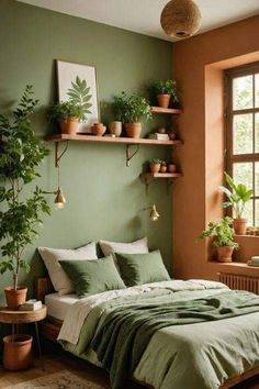 a bedroom with green walls and plants on the shelves above the bed, in front of a window