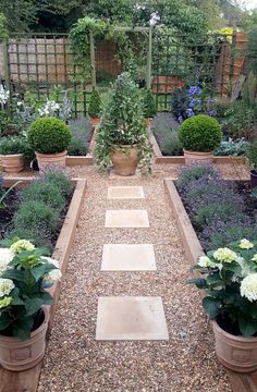 a garden filled with lots of different types of plants