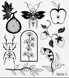 an assortment of different types of flowers and fruit on a white paper with black ink