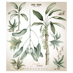 an illustration of some green plants and leaves on a white background with the words dek pink