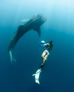 a woman is swimming with a whale in the ocean