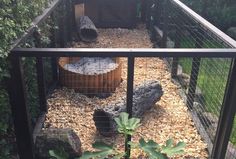 a caged in area with rocks, plants and an animal house on the ground