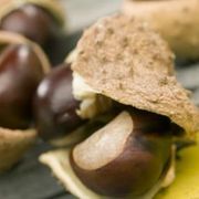 How to Prepare Buckeyes for Necklaces | eHow Chestnut Crafts, How To Make Buckeyes, Nut Crafts, Ohio Pictures, Buckeye Crafts, Buckeye Tree, Buckeye Nut, Get Rid Of Spiders, Varicose Vein Remedy