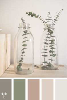 two vases with plants in them sitting on a table