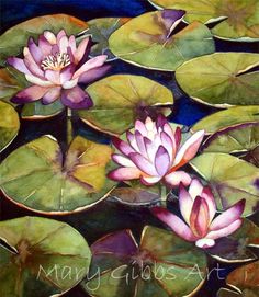 water lilies are blooming in the pond