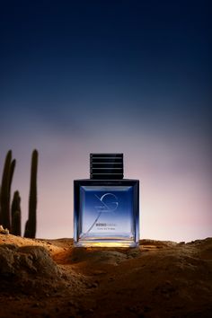 a bottle of perfume sitting on top of a dirt field next to a cactus plant