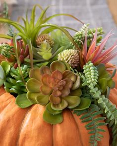 an orange pumpkin with succulents and other plants in it's centerpiece