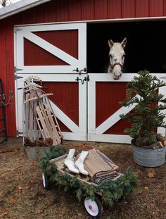 a horse sticking its head out the window of a barn with christmas trees and decorations