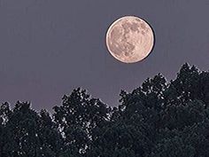 the full moon is seen over some trees