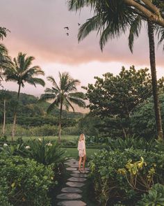 a woman standing on a stone path in the middle of some tropical plants and trees