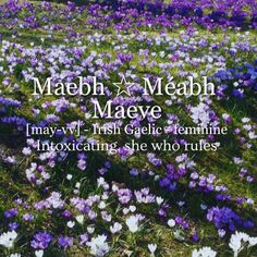 a field full of purple and white flowers with the words mabh meah maaeve