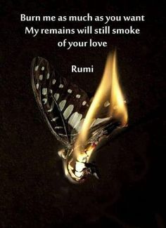 Quotes On Patience, Rumi Books, Meditate For Beginners, Quotes Soul, Eckart Tolle