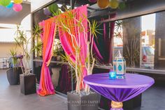 a purple table topped with a plant next to a window