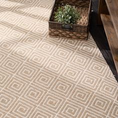 an area rug with a plant in a basket on the ground next to a wooden bench