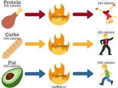 High Thermal Effect Foods, High Thermic Effect Foods, High Metabolism Foods, Macro Eating, Metabolism Foods, High Metabolism, 200 Calories, Yahoo Search