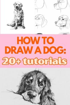 how to draw a dog in 20 easy steps