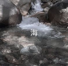 Japan Aesthetic, Aesthetic Japan, Gray Aesthetic, Japanese Aesthetic, Nature Aesthetic, White Aesthetic, Aesthetic Photo, 그림 그리기