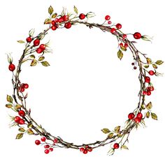 a wreath made out of branches with berries and leaves on it, in the shape of a circle